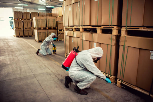 Best Exterminator Services  in Richlands, VA