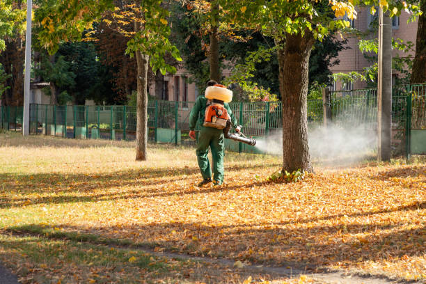 Best Cockroach Control Services  in Richlands, VA