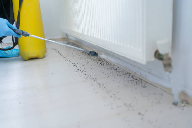 Best Pest Inspection Near Me  in Richlands, VA